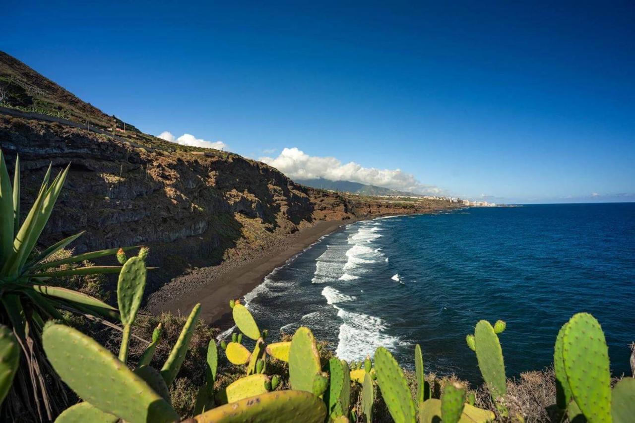 Dragos Del Mar , Espacio Natural Ля Оротава Экстерьер фото